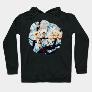 Flowers Spring - Photography collection Hoodie